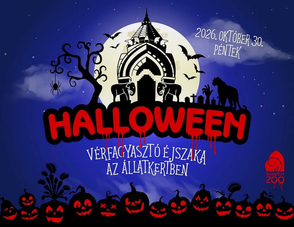 Vérfagyasztó Halloween az Állatkertben: kígyók, boszorkányok és tüzes produkciók várják a családokat